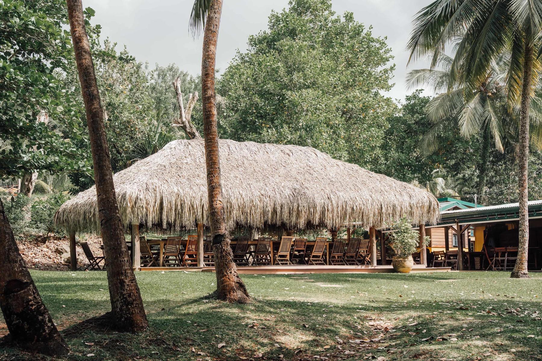 Le carbet au toit de paille, sur la pelouse sous les cocotiers