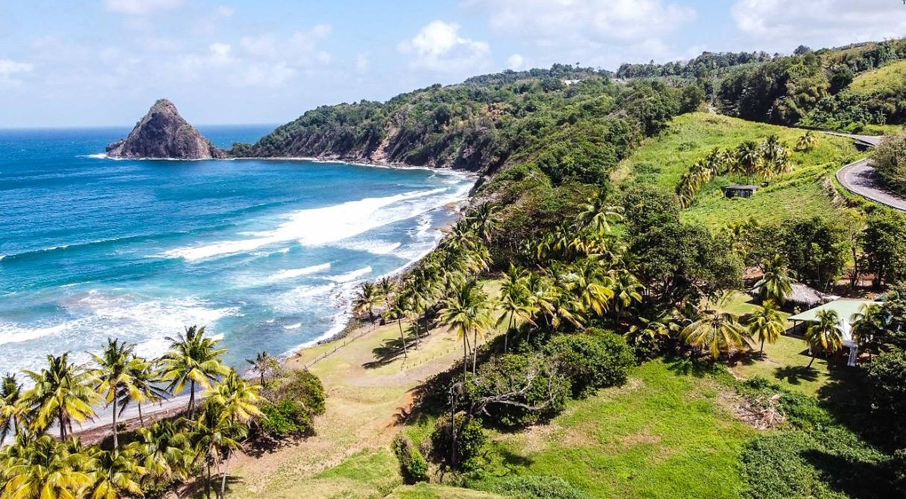 La plage de l'Anse Charpentier et le Pain de Sucre, vus depuis les cocotiers du restaurant